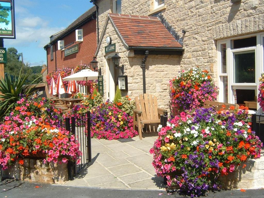 The Walnut Tree Inn Mere Mere  Exterior photo